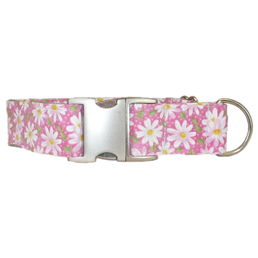 Dog Collars With Daisies On Them Dog Collars With Daisies On Them