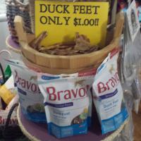 Duck Foot Dog Treat - Single