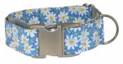 Daisies Dog Collar - Blue