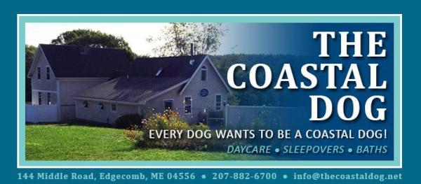 THE COASTAL DOG