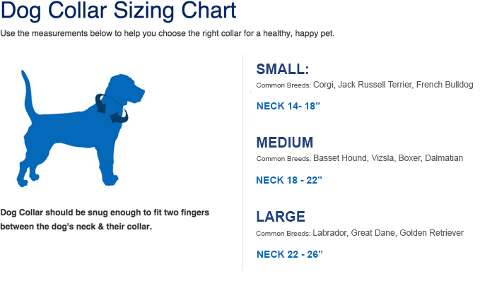 Dog Collar Size Chart In Inches