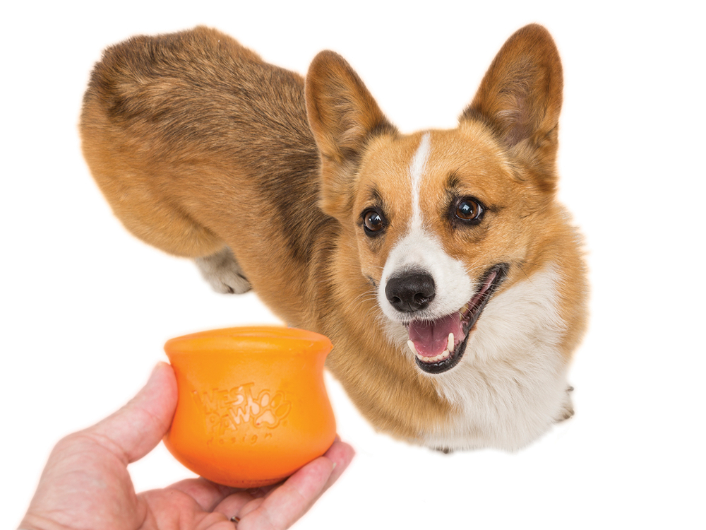 Toppl - Dog Treat Toy