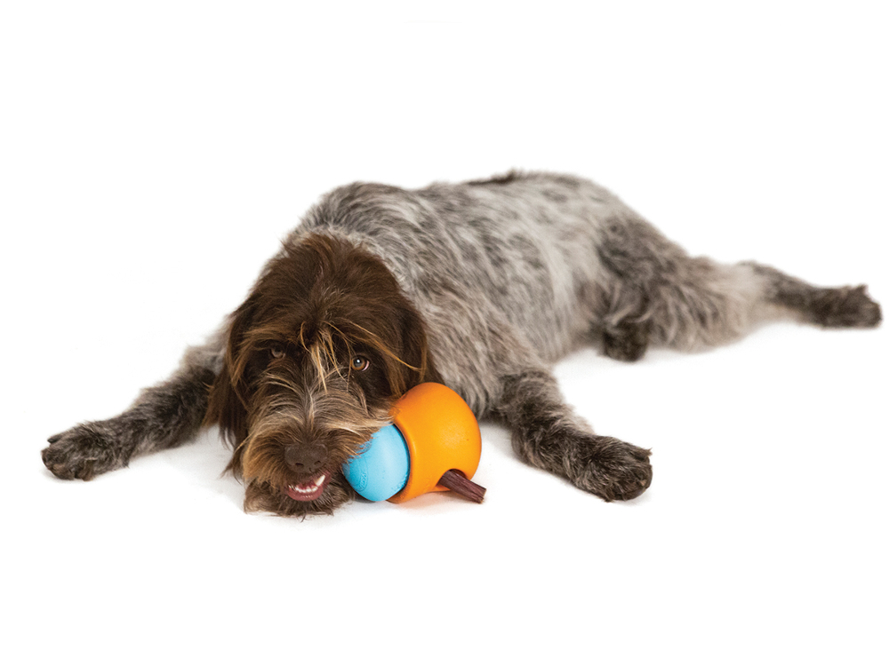 7 of the Best Interactive Toys for Dogs