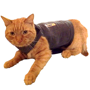 Cat Anxiety Jacket, Anti Anxiety Vest Thunder Vest for Cats Pet