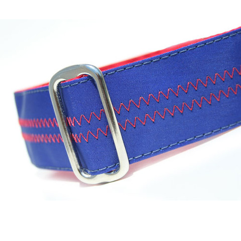 CH-dog-collar-blue-1.jpg