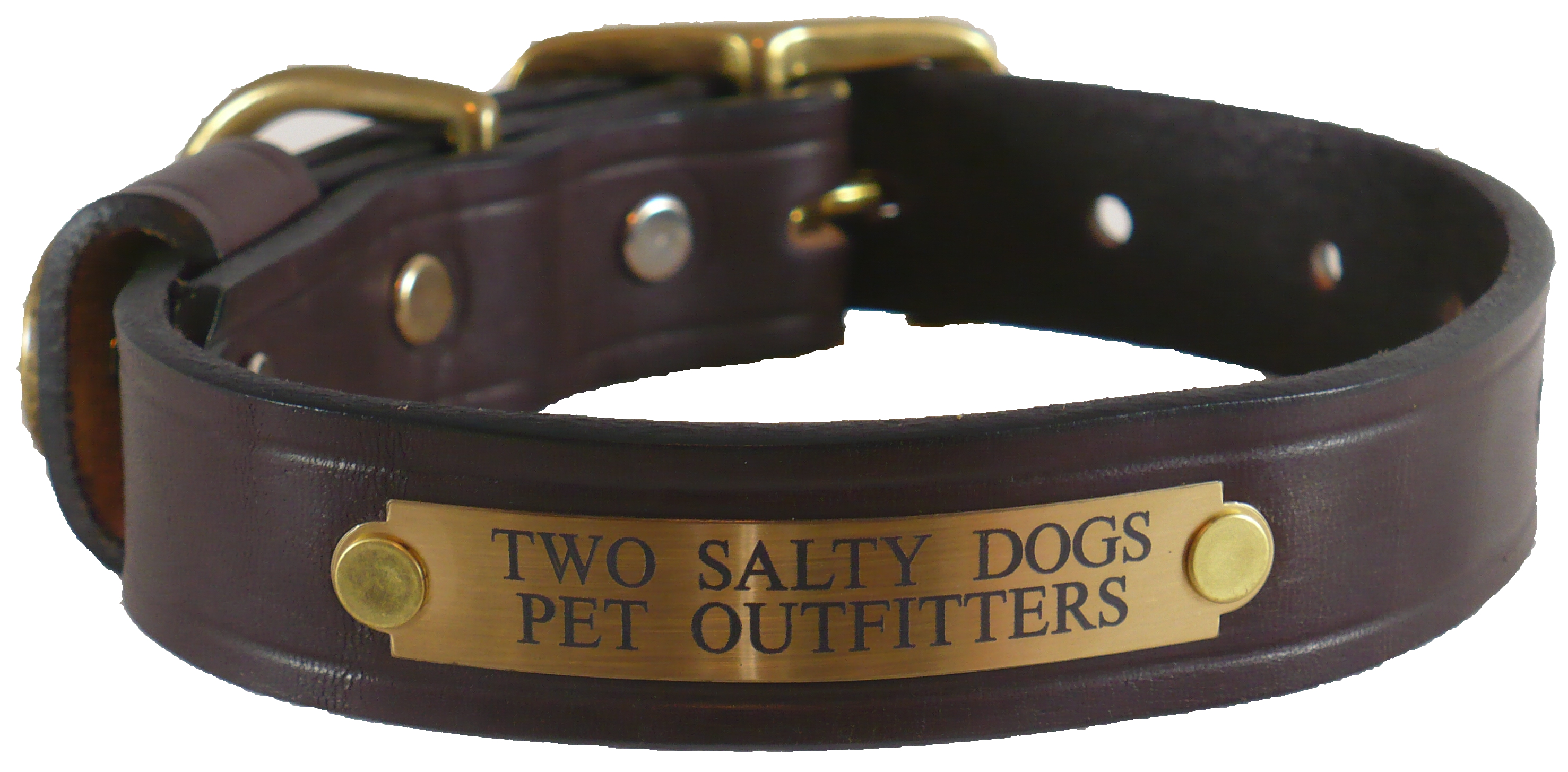 https://www.twosaltydogs.net/media/OU-dog-collar-leather-2.jpg