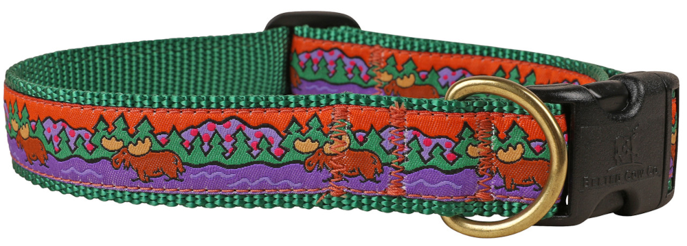 bc-1-inch-ribbon-dog-collar-moose-on-green-1