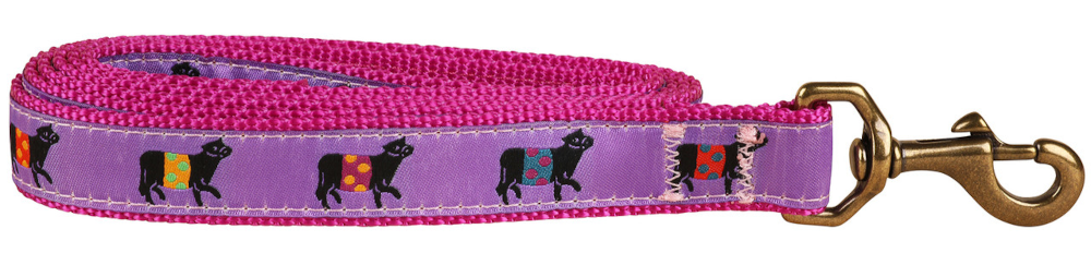 bc-1-inch-ribbon-dog-leash-purple-beltie-1