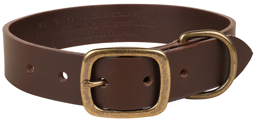 bc-dog-collar-brown-leather-1_25-inch