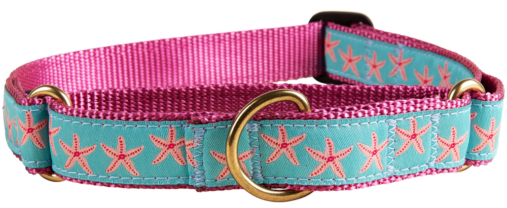 bc-martingale-ribbon-dog-collar-starfish-aqua-1-inch
