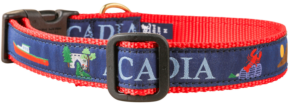 bc-ribbon-dog-collar-acadia-1-inch