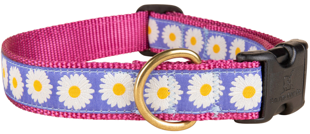 bc-ribbon-dog-collar-daisies-1-inch