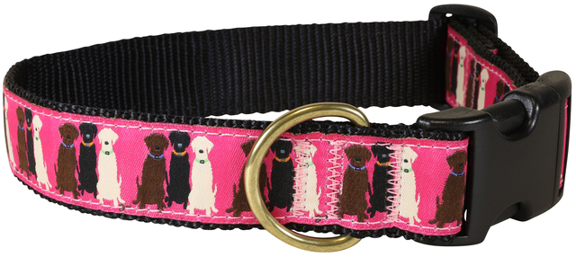 bc-ribbon-dog-collar-three-labs-1-25