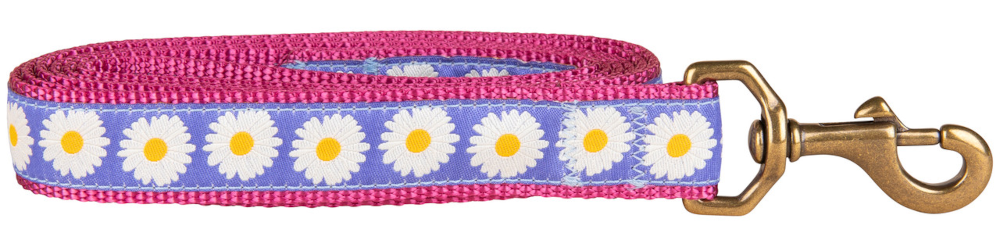 bc-ribbon-dog-leash-daisies-1-inch