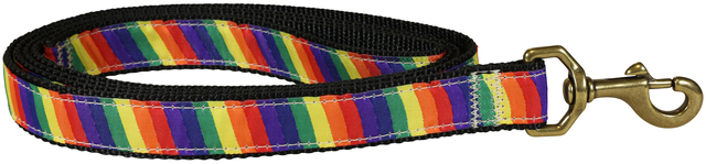 bc-ribbon-dog-leash-rainbow-1-inch
