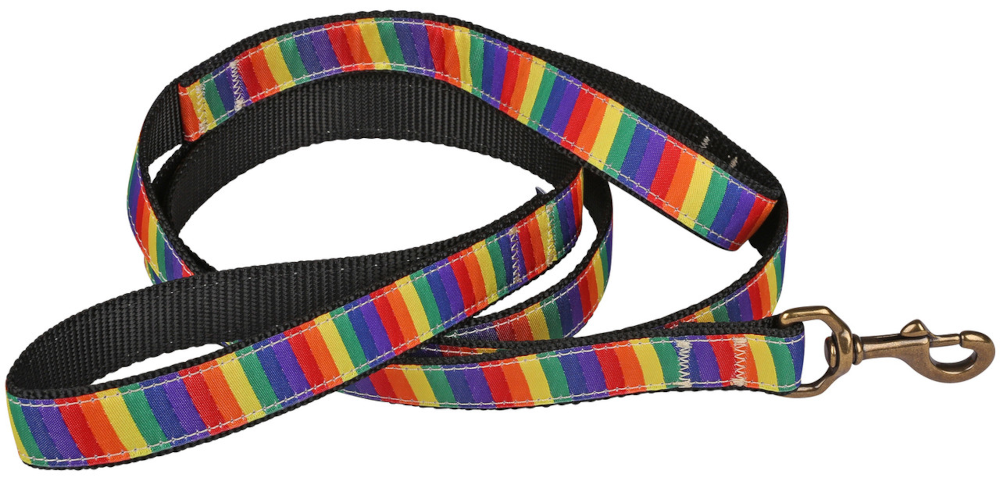 bc-traffic-ribbon-dog-leash-rainbow-1-inch