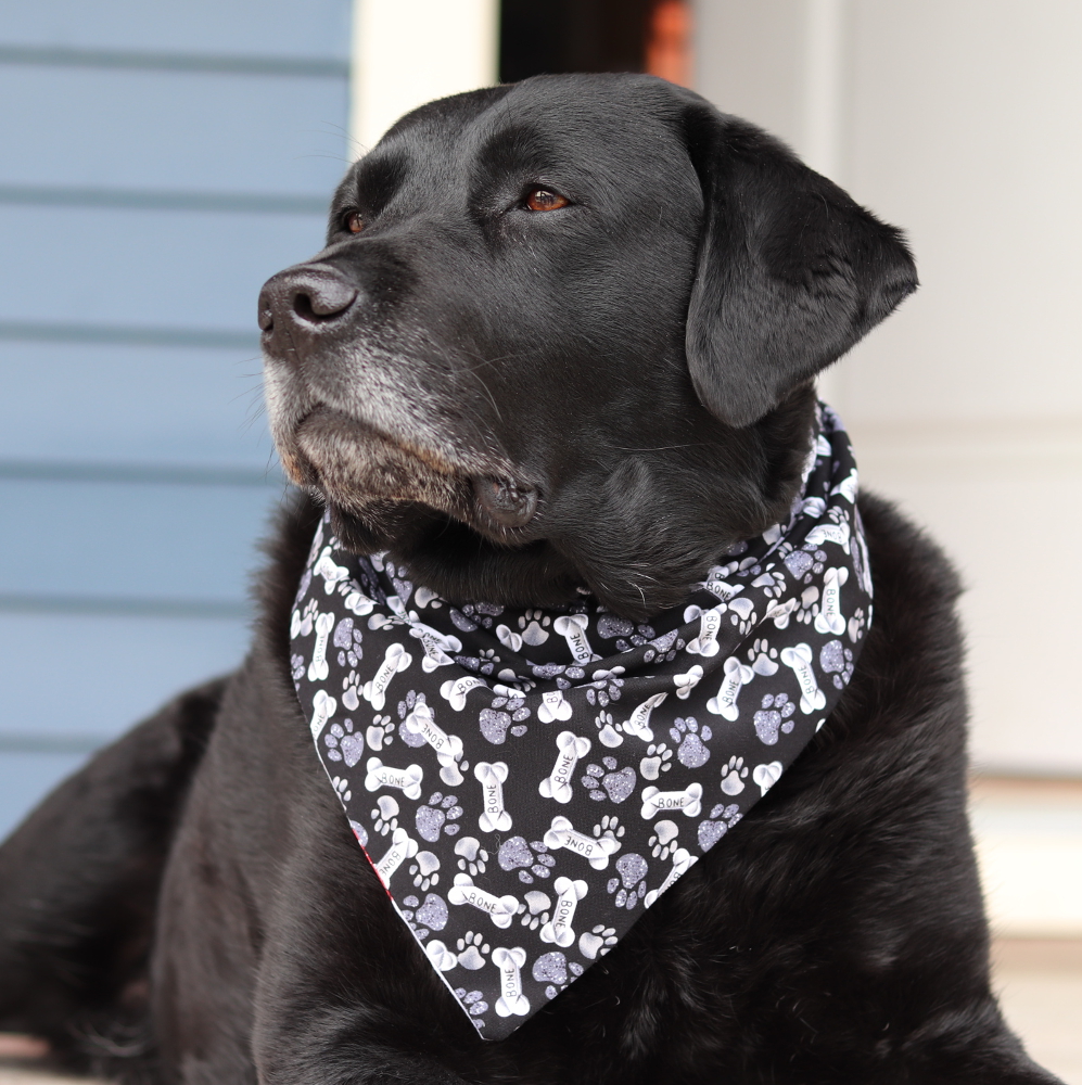 Dog Bandana