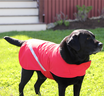 dsd-waterproof-dog-coat-red-1