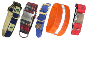 Dog Collars > All Dog Collars