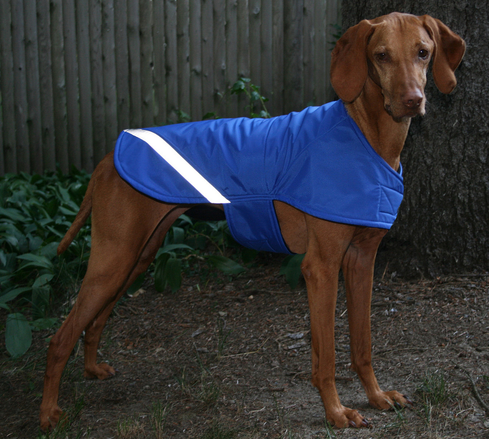 dsd-waterproof-dog-coat-blue-1