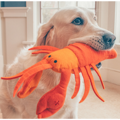 Snuffle Toy - Lobster