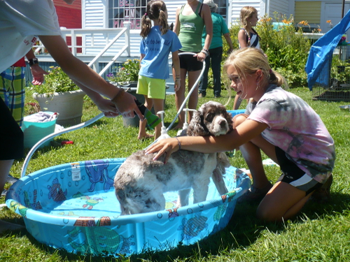 Noni Dog Washing