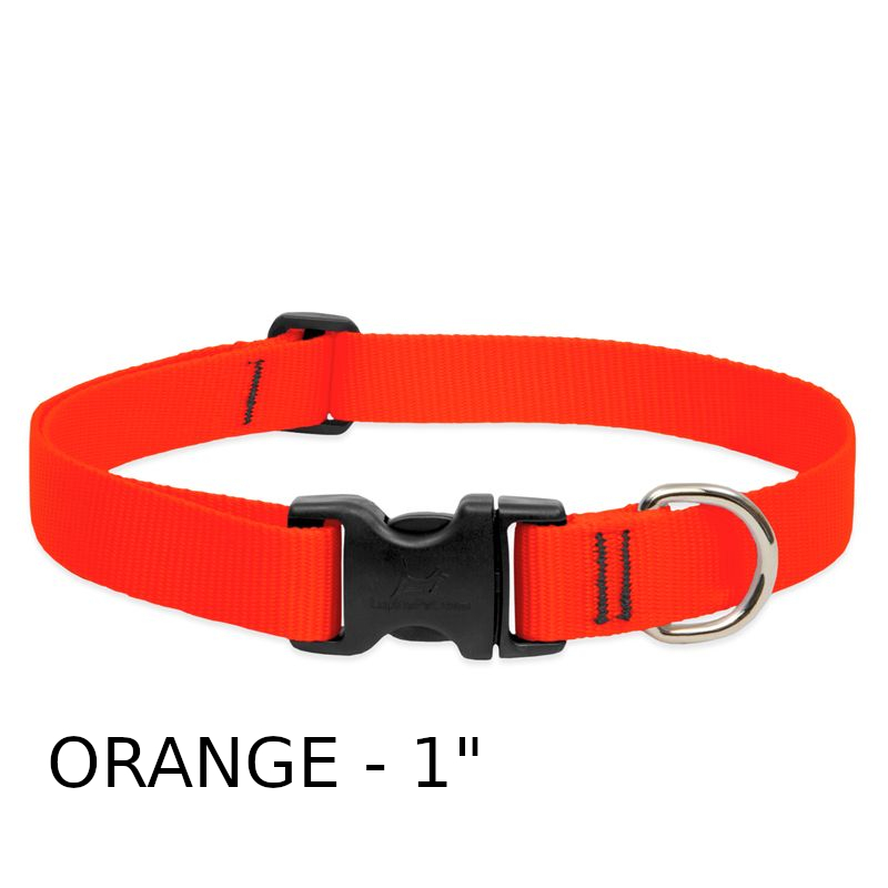 lp-dog-collar-nylon-blaze-orange-1-inch