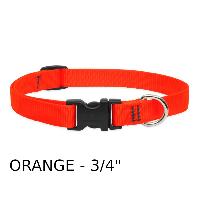 lp-dog-collar-nylon-blaze-orange-3_4-inch