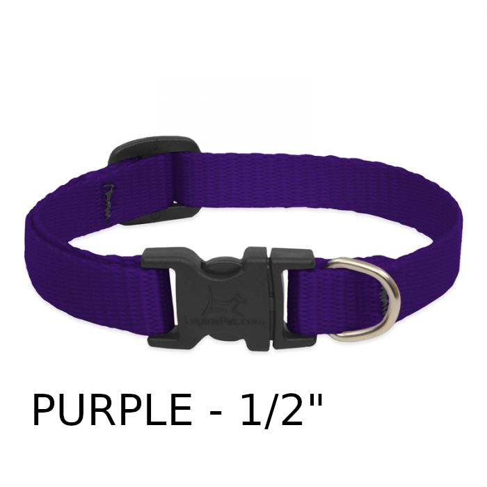 lp-dog-collar-nylon-purple-1_2-inch