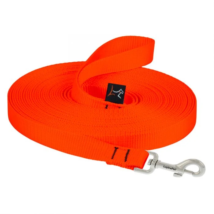 lp-dog-leash-training-orange