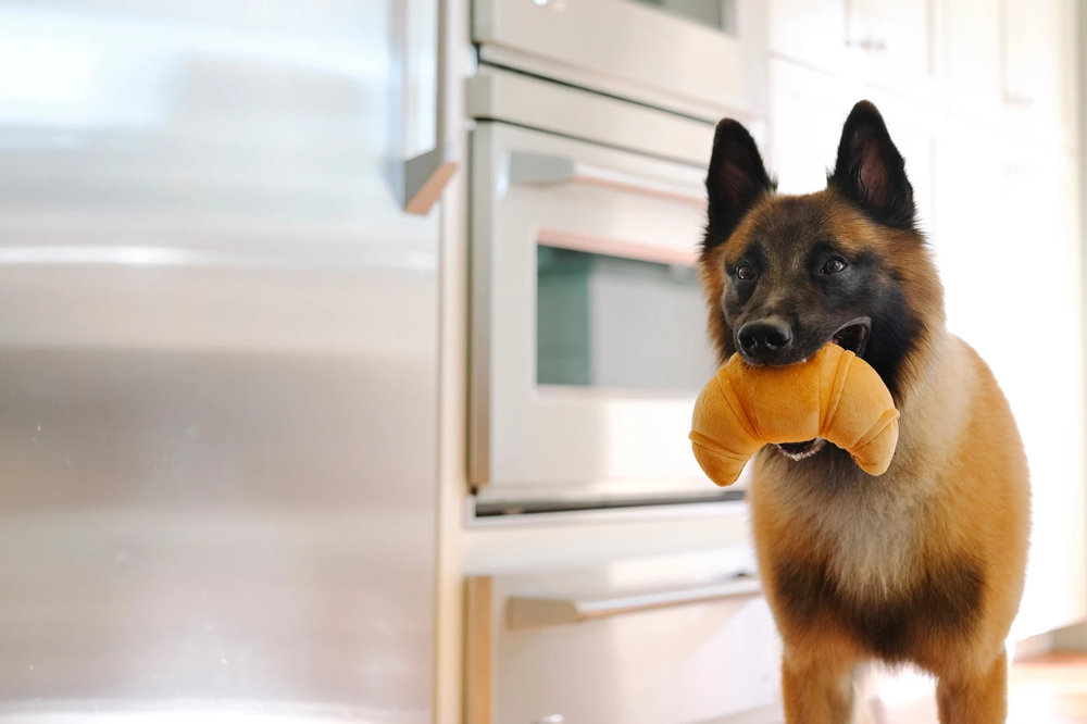 Squeaky and Crinkly Stuffed Dog Toy - Croissant