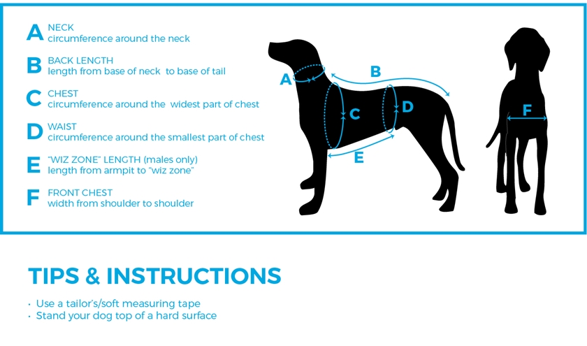 rc-dog-fleece-measuring-guide