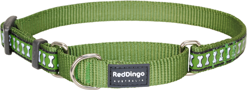 rd-reflective-martingale-dog-collar-green.jpg
