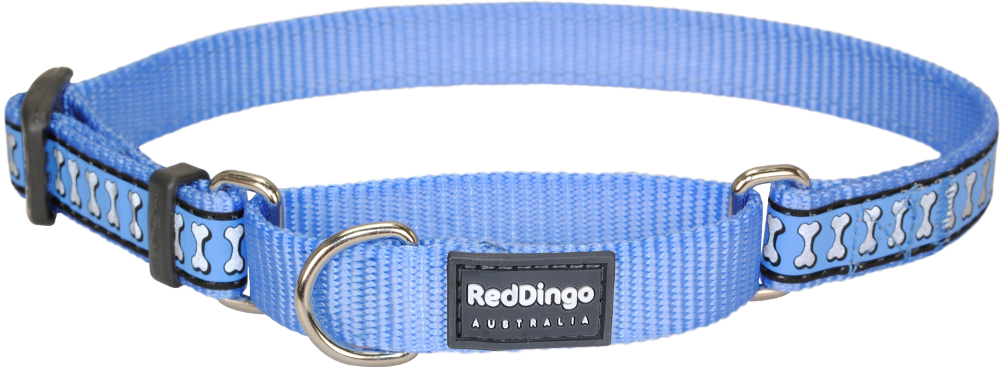 rd-reflective-martingale-dog-collar-light-blue.jpg