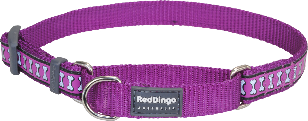 rd-reflective-martingale-dog-collar-purple.jpg