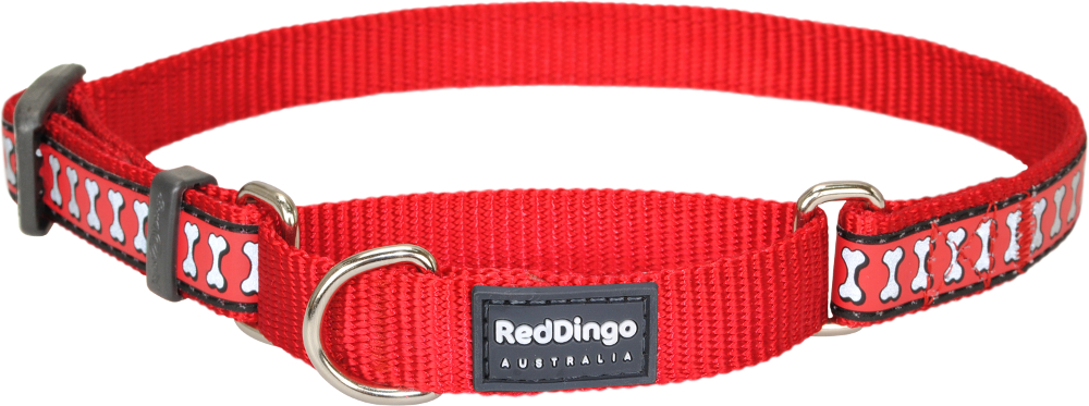 rd-reflective-martingale-dog-collar-red.jpg