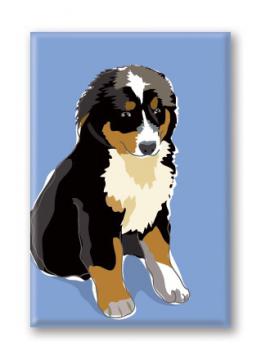 Bernese Mountain Dog (Puppy)