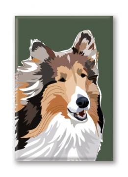 Collie