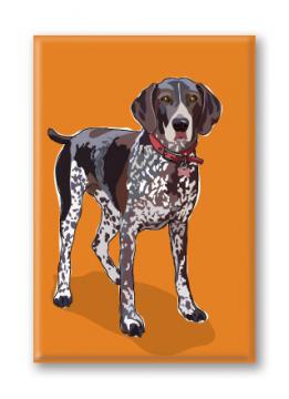 German Shorthaired Pointer