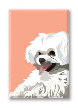 Maltese (3 Magnets)