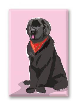 Newfoundland (With Bandana)