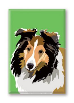 Sheltie