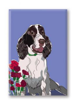 Springer Spaniel