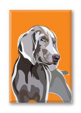 Weimaraner