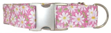 UC_Dog_Collar_Painted_Daisies_Pink-1.jpg