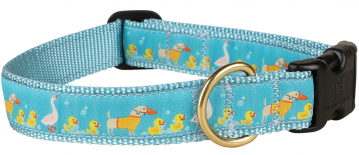 bc-1-inch-ribbon-dog-collar-duck-duck-goose-1