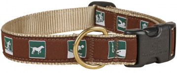 bc-1-inch-ribbon-dog-collar-parks-and-recreation-1