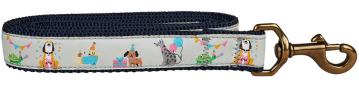 bc-1-inch-ribbon-dog-leash-party-animals-1