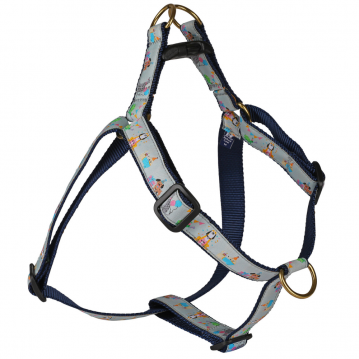 bc-1-inch-ribbon-step-in-dog-harness-party-animals-1