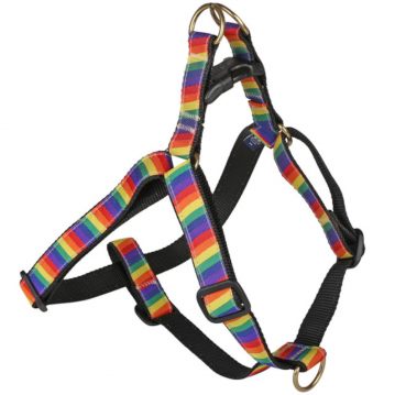 bc-1-inch-ribbon-step-in-dog-harness-rainbows-1